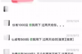 山丹为什么选择专业追讨公司来处理您的债务纠纷？